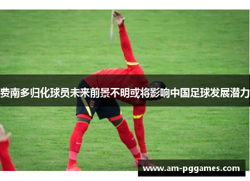 费南多归化球员未来前景不明或将影响中国足球发展潜力 费南多归化球员未来前景不明或将影响中国足球发展潜力