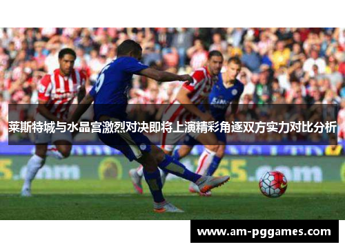 莱斯特城与水晶宫激烈对决即将上演精彩角逐双方实力对比分析