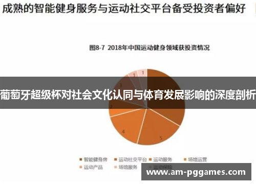 葡萄牙超级杯对社会文化认同与体育发展影响的深度剖析 葡萄牙超级杯对社会文化认同与体育发展影响的深度剖析