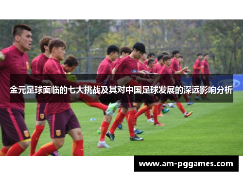 金元足球面临的七大挑战及其对中国足球发展的深远影响分析