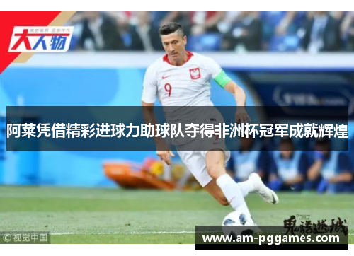 阿莱凭借精彩进球力助球队夺得非洲杯冠军成就辉煌